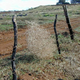 Illustration for article titled Barbed Wire's Dark, Deadly History
